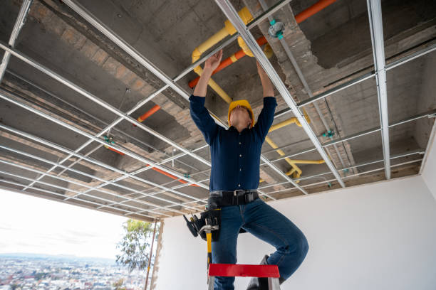 Best Local Plumber Services  in Tower Lakes, IL