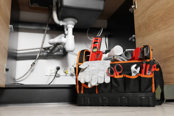 Best Clogged Drain Plumber  in Tower Lakes, IL