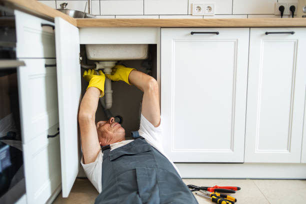Best Plumbing Services Near Me  in Tower Lakes, IL