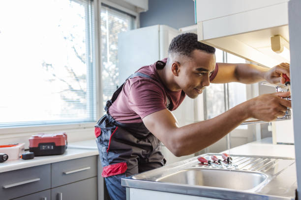Best Best Plumbers Near Me  in Tower Lakes, IL